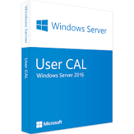 Microsoft Windows Server 2021 50 User CAL