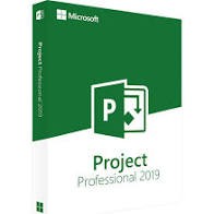 Microsoft Project pro 2019, OEM Version