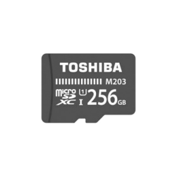 Micro SD-Karte Toshiba THN-M203K2560EA 256 GB